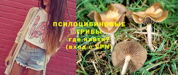 спиды Белокуриха