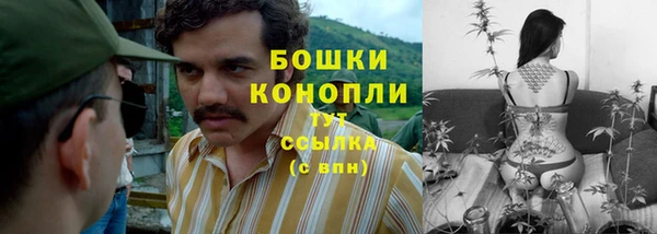 гашиш Богданович