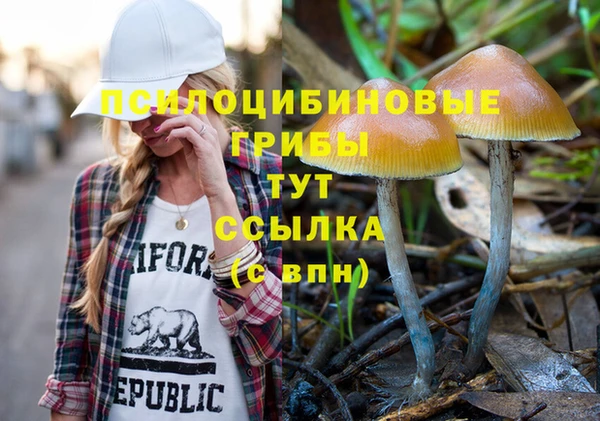 спиды Белокуриха