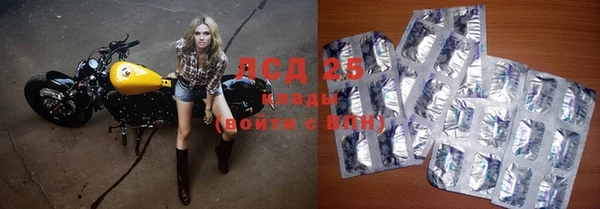 спиды Белокуриха