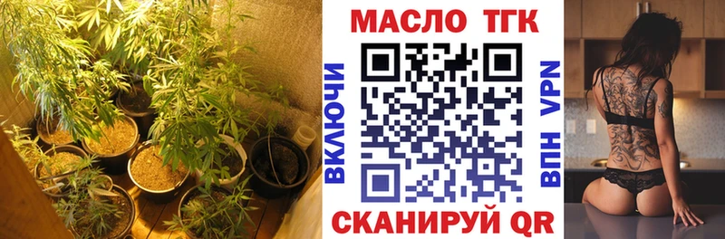 купить закладку  Светогорск  ТГК вейп 