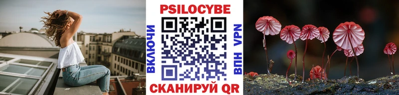 MEGA как зайти  Светогорск  Галлюциногенные грибы мицелий  сколько стоит 